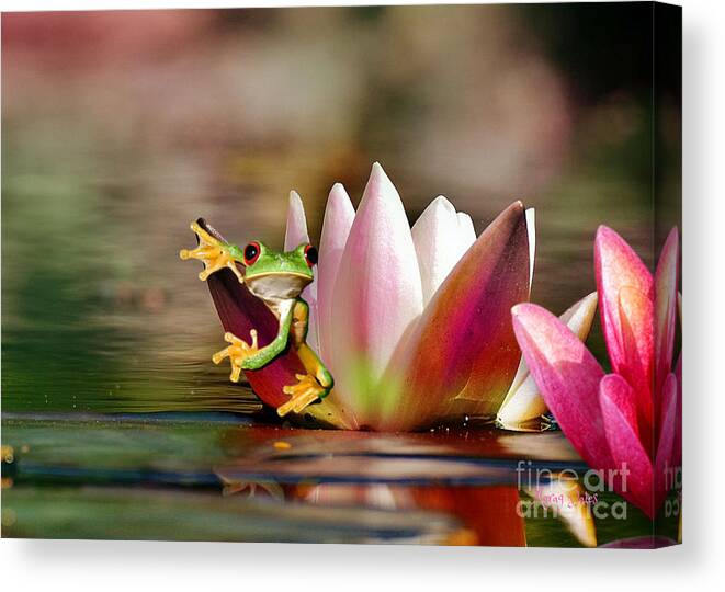 Red Eye Tree Frog Canvas Print featuring the mixed media Water Lily and Frog by Morag Bates