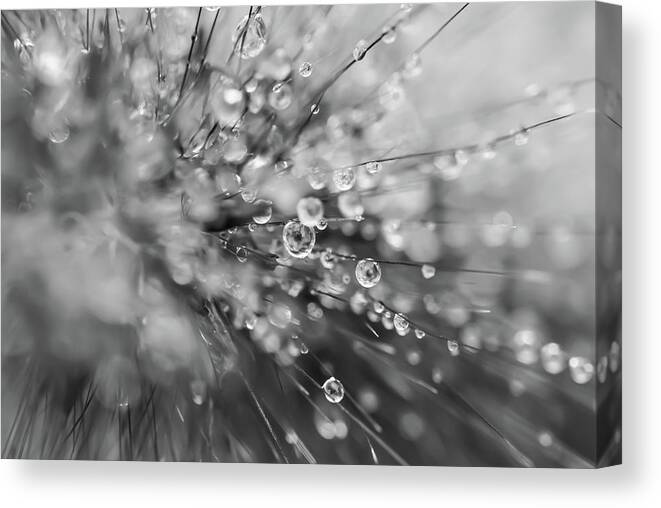 Black Canvas Print featuring the photograph Water Reflections 9751 by Gordon Sarti