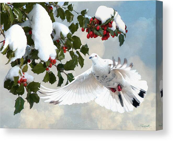 Dove; Peace; White Dove; Bird; Hollly; Snow; Holiday; Christmas; Greeting Card; Digital Art; Digital Painting; Spadecaller Canvas Print featuring the digital art White Dove and Holly by M Spadecaller