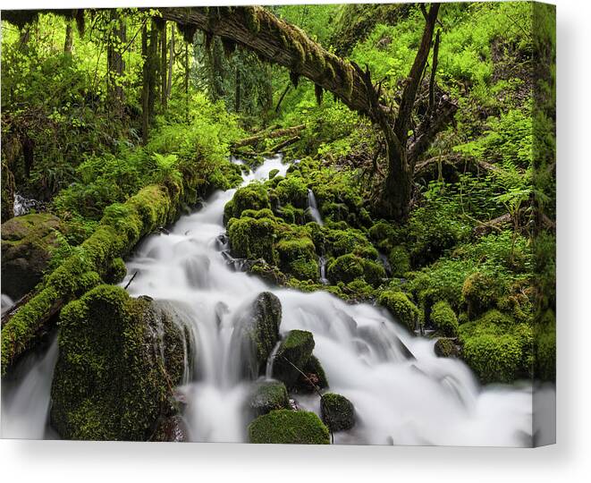 Scenics Canvas Print featuring the photograph Wild Forest Waterfall Idyllic Green by Fotovoyager