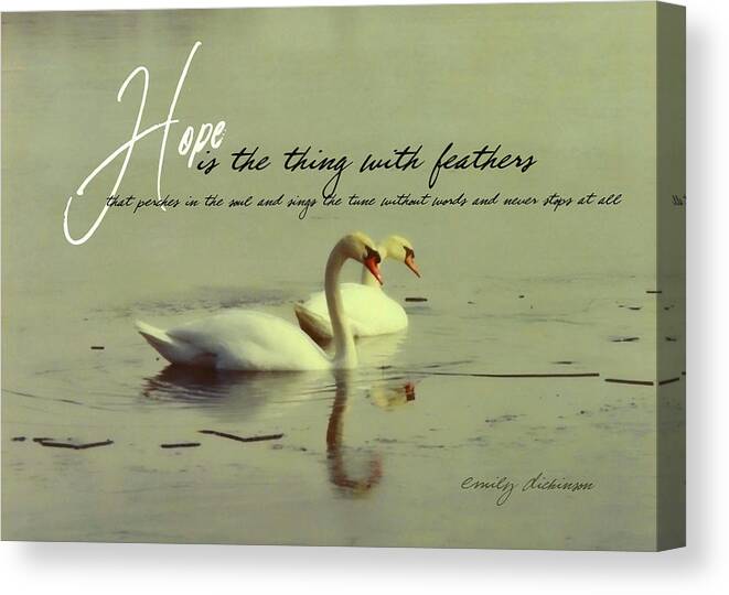 All Canvas Print featuring the photograph WINTER SWANS quote by JAMART Photography