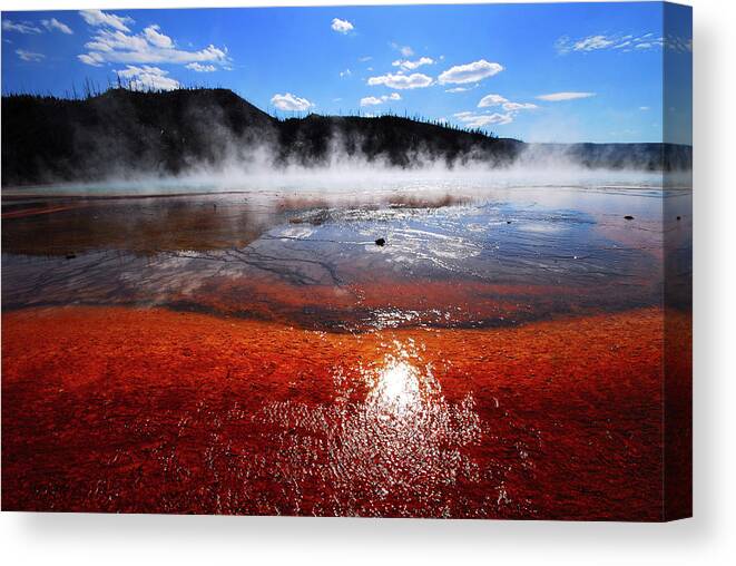Scenics Canvas Print featuring the photograph Yellowstone National Park by Tcyuen