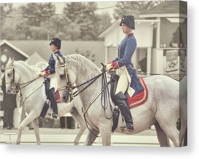 Above Canvas Print featuring the photograph Yugoslavian Royal Studs by JAMART Photography