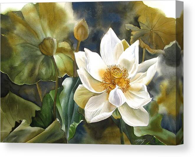 Lotus Canvas Print featuring the painting White lotus by Alfred Ng