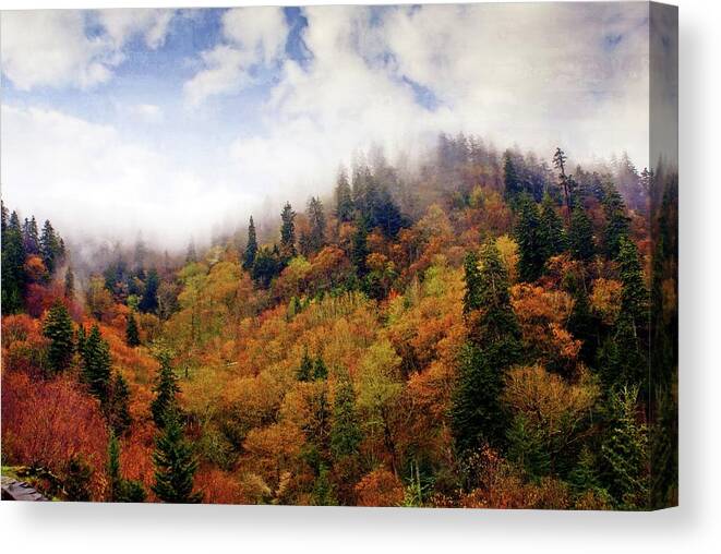 Fall Canvas Print featuring the photograph Foggy Fall #1 by Marty Koch