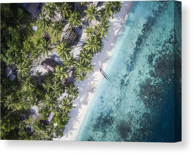 Treetop Canvas Print featuring the photograph Overhead view of trees on shore by sea #1 by Cavan Images