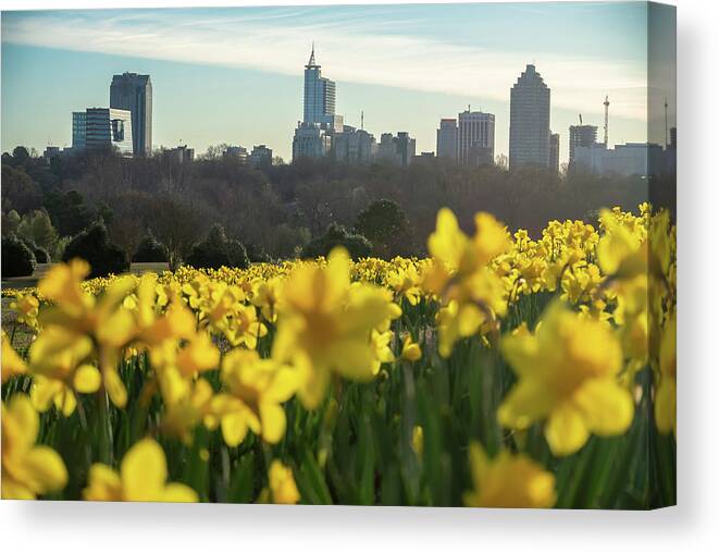 Skyline Canvas Print featuring the photograph Raleigh Skyline #1 by Rick Nelson