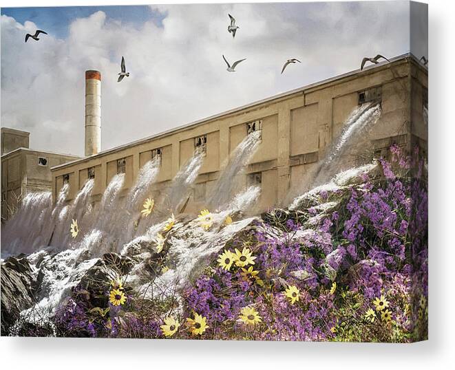 Water Canvas Print featuring the photograph Rushing Waters by Shara Abel
