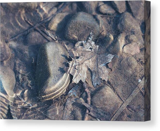 Delaware River Canvas Print featuring the photograph Underwater Worlds - Delaware River Photography #1 by Amelia Pearn