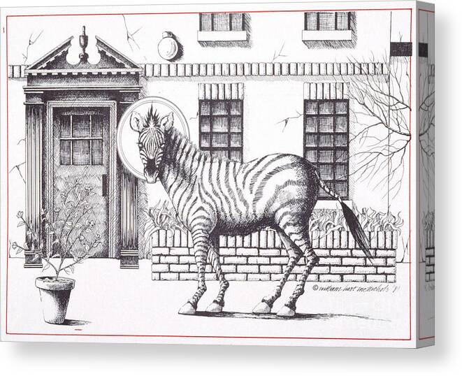 Drawing Canvas Print featuring the drawing 16th Street Zebra NYC by William Hart McNichols