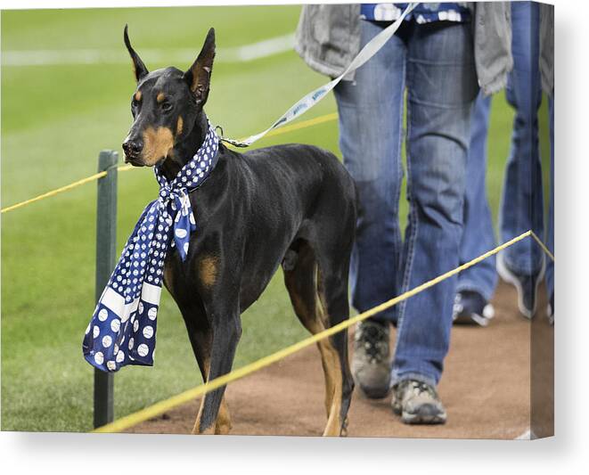 Doberman Pinscher Canvas Print featuring the photograph Houston Astros v Seattle Mariners #2 by Lindsey Wasson