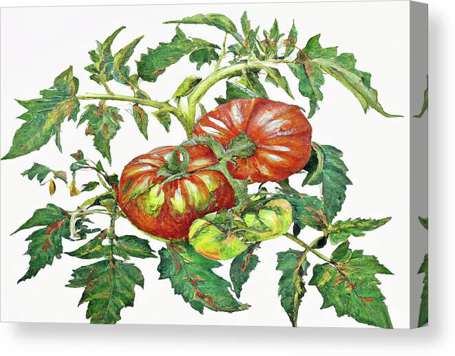 Two Red Tomatoes Canvas Print featuring the digital art 2 Tomatoes 2 B by Cathy Anderson