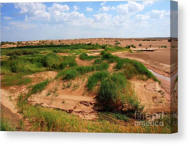 Colors Of Gobi Desert Canvas Print featuring the photograph Colors of Gobi desert #3 by Elbegzaya Lkhagvasuren