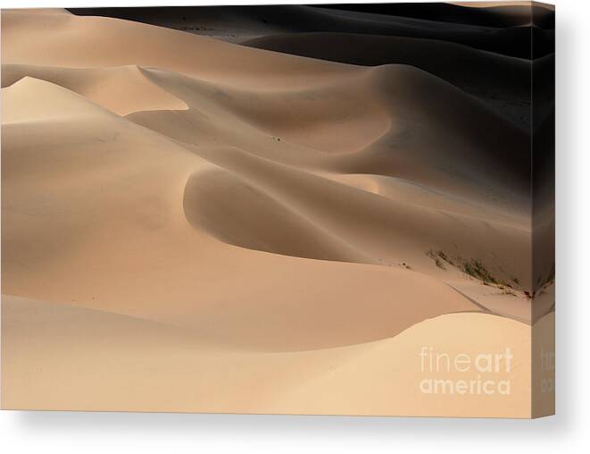 Gobi Desert Canvas Print featuring the photograph Gobi desert #4 by Elbegzaya Lkhagvasuren