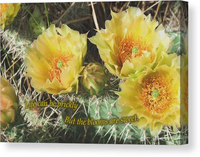 Cactus Canvas Print featuring the mixed media A Prickly Life by Kae Cheatham