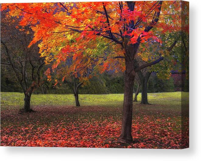 Autumn Canvas Print featuring the photograph Ablaze in Autumn by Jessica Jenney