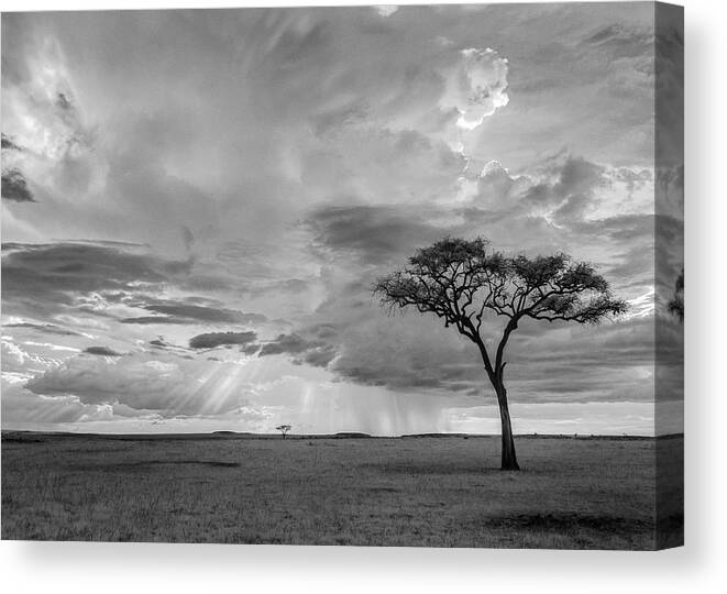 Africa Canvas Print featuring the photograph African grasslands infrared by Murray Rudd