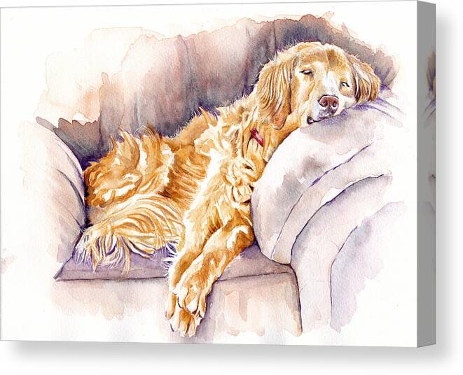 Golden Retriever Canvas Print featuring the painting After the Lunch - Golden Retriever by Debra Hall