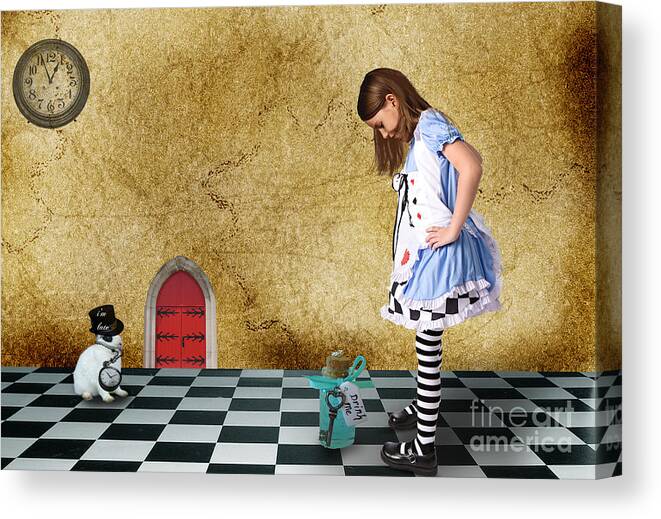 Alice Canvas Print featuring the digital art Alice by Jim Hatch