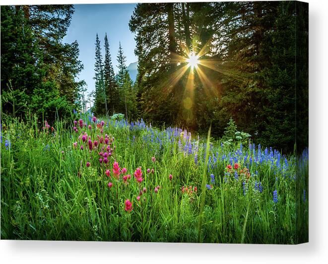 Alta Canvas Print featuring the photograph Alta Sunset and Wildflowers by Bradley Morris