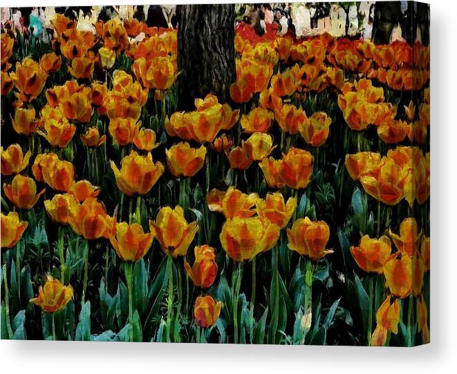 Amber Canvas Print featuring the photograph Amber by Robert Knight