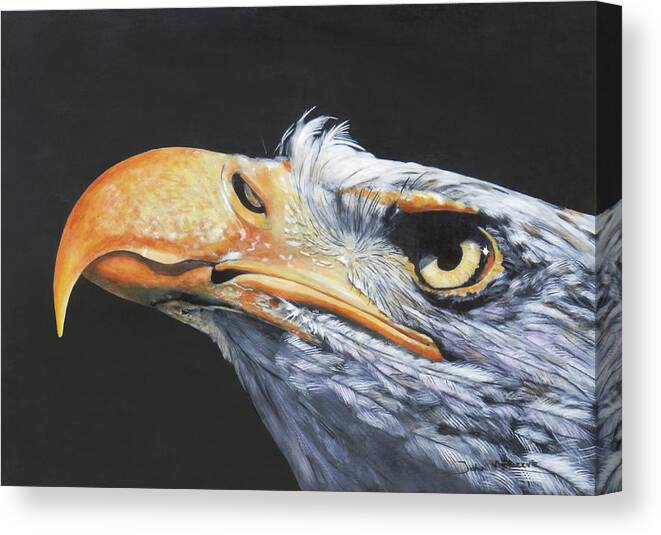 Eagle Canvas Print featuring the painting American Bald Eagle by John Neeve