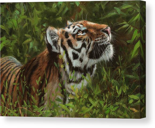 Tiger Canvas Print featuring the painting Amur Tiger 111 by David Stribbling