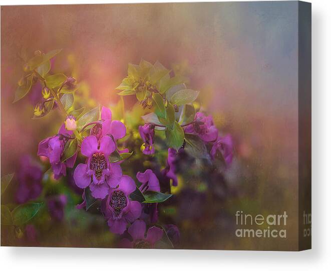 Flower Canvas Print featuring the photograph Angel Delight by Shelia Hunt