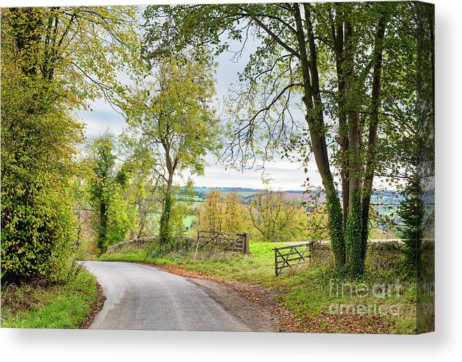Country Lane Canvas Print featuring the photograph Autumn Country Lane Cotswolds by Tim Gainey