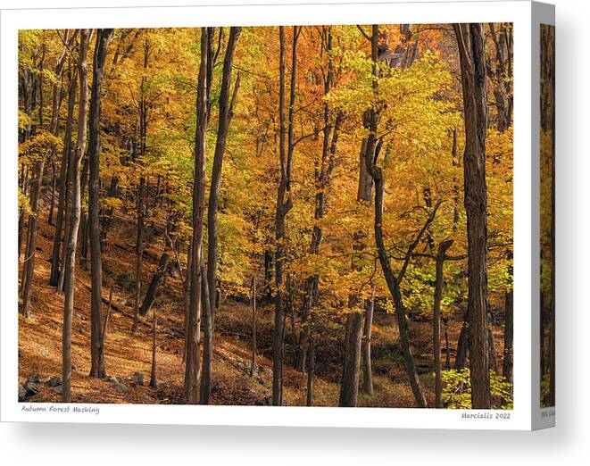 Hiking Canvas Print featuring the photograph Autumn Forest Masking The Signature Series by Angelo Marcialis
