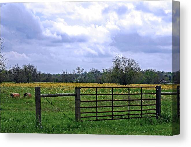 Yellow Wildflowers Canvas Print featuring the photograph Big Texas Sky by Connie Fox