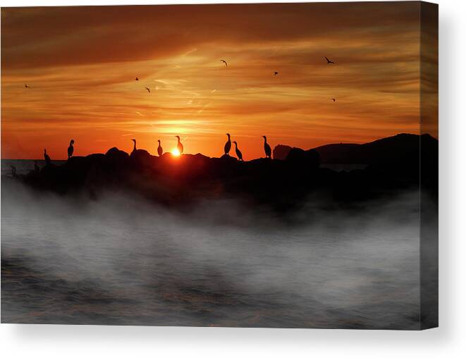 Rippled; Plain; Picture; Evening Sky; Black; Surise; Sunset; Golden; Yellow; Coast; Calming; Background; Relaxing; Ripples; Chill; Beautiful; Panorama; Scene; Sunset Background; Vivid; Vacation; Sun; Sky; Evening; Horizon; Quiet; Sea; Fog Canvas Print featuring the photograph Birds silhouette on the fog sunset by Severija Kirilovaite