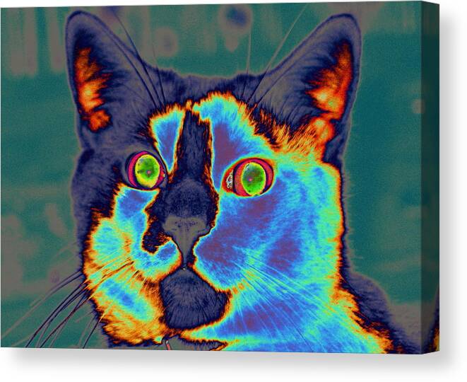 Kitty Canvas Print featuring the digital art Blue Kitty by Larry Beat