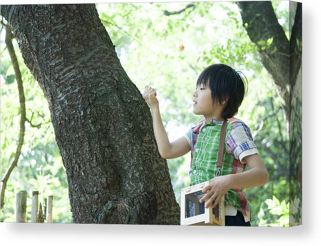 Child Canvas Print featuring the photograph Boy holding insect cage, looking at tree trunk by Absodels