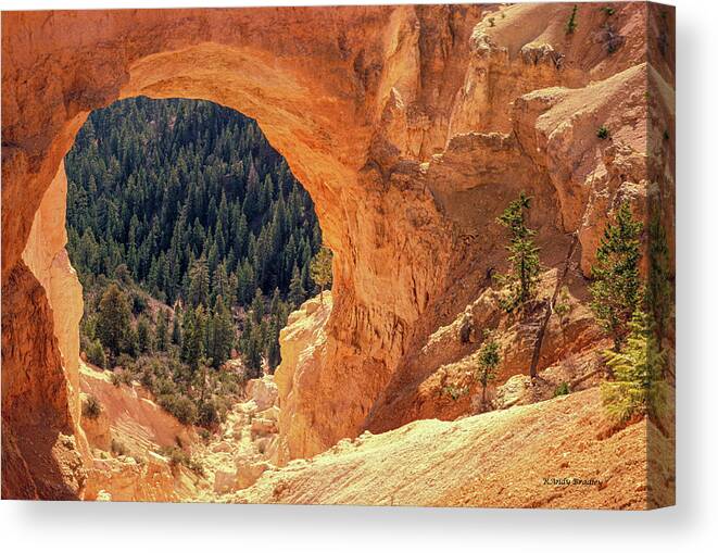 Usa Canvas Print featuring the photograph Bryce Canyon Arch by Randy Bradley