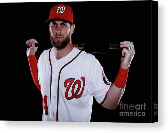 Media Day Canvas Print featuring the photograph Bryce Harper by Chris Trotman