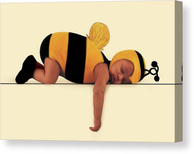 Bee Canvas Print featuring the photograph Bumblebee #5 by Anne Geddes