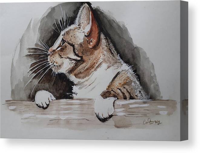 Cat Canvas Print featuring the drawing Cat on the wall by Carolina Prieto Moreno
