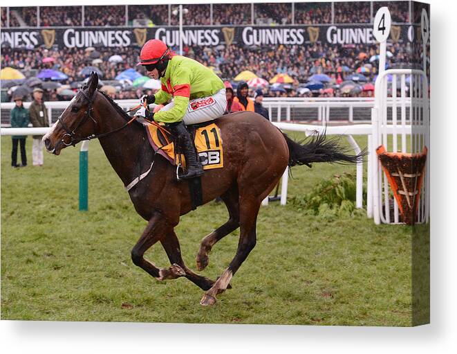 Horse Canvas Print featuring the photograph Cheltenham Festival - Cheltenham Gold Cup by Mike Hewitt