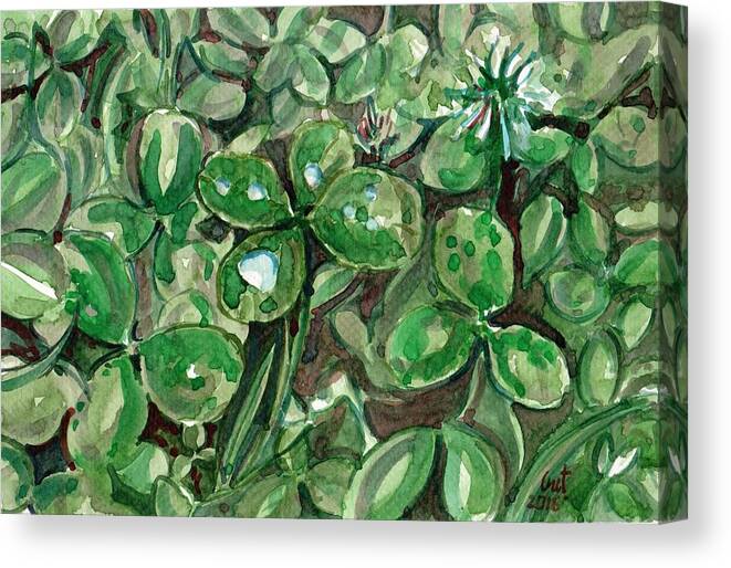 Clover Canvas Print featuring the painting Clover field by George Cret