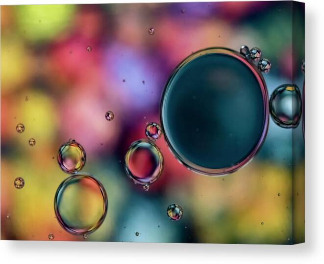 Oil Canvas Print featuring the photograph Colorful Bubbles by Cathy Kovarik