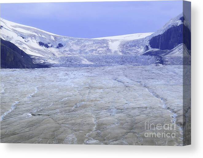 Columbian Icefield Canvas Print featuring the photograph Columbia Icefield by Mary Mikawoz