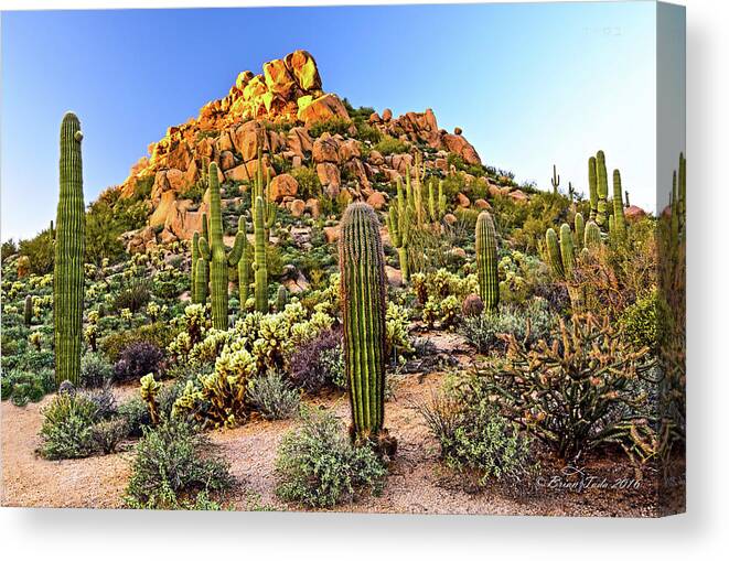 Landscape Canvas Print featuring the photograph Come Away My Beloved by Brian Tada