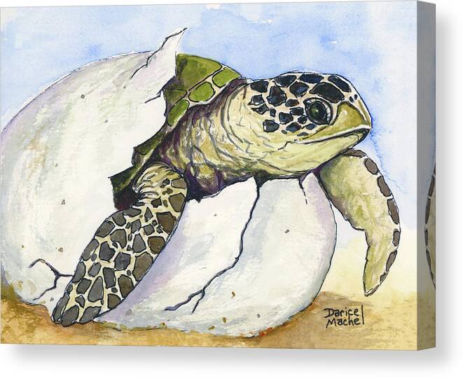 Honu Canvas Print featuring the painting Coming Out Of Her Shell by Darice Machel McGuire