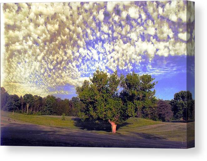 Cloud Art Canvas Print featuring the photograph Cottonball Clouds on Golf Course by Stacie Siemsen