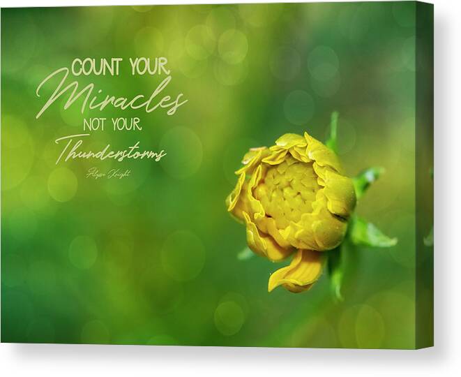 Flower Canvas Print featuring the photograph Count Your Miracles by Cathy Kovarik