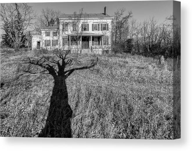 Voorhees Farm Canvas Print featuring the photograph Death Tree by David Letts