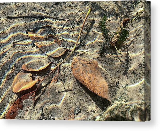 Stone Canvas Print featuring the photograph Delaware River Underwater Landscape Leaves by Amelia Pearn