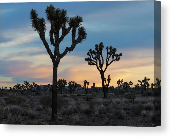 Loree Johnson Photography Canvas Print featuring the photograph Desert Sunset by Loree Johnson