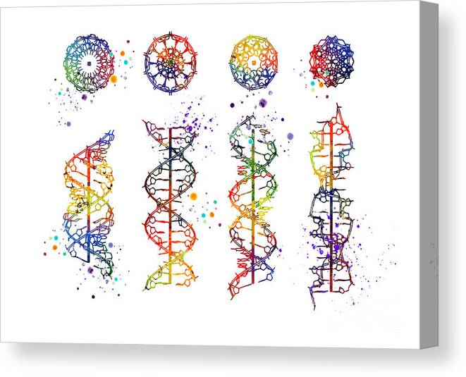Dna Canvas Print featuring the digital art DNA Helix A-B-C-Z Art Colorful Watercolor Gift Medical Art Genetics Doctor Gift by White Lotus